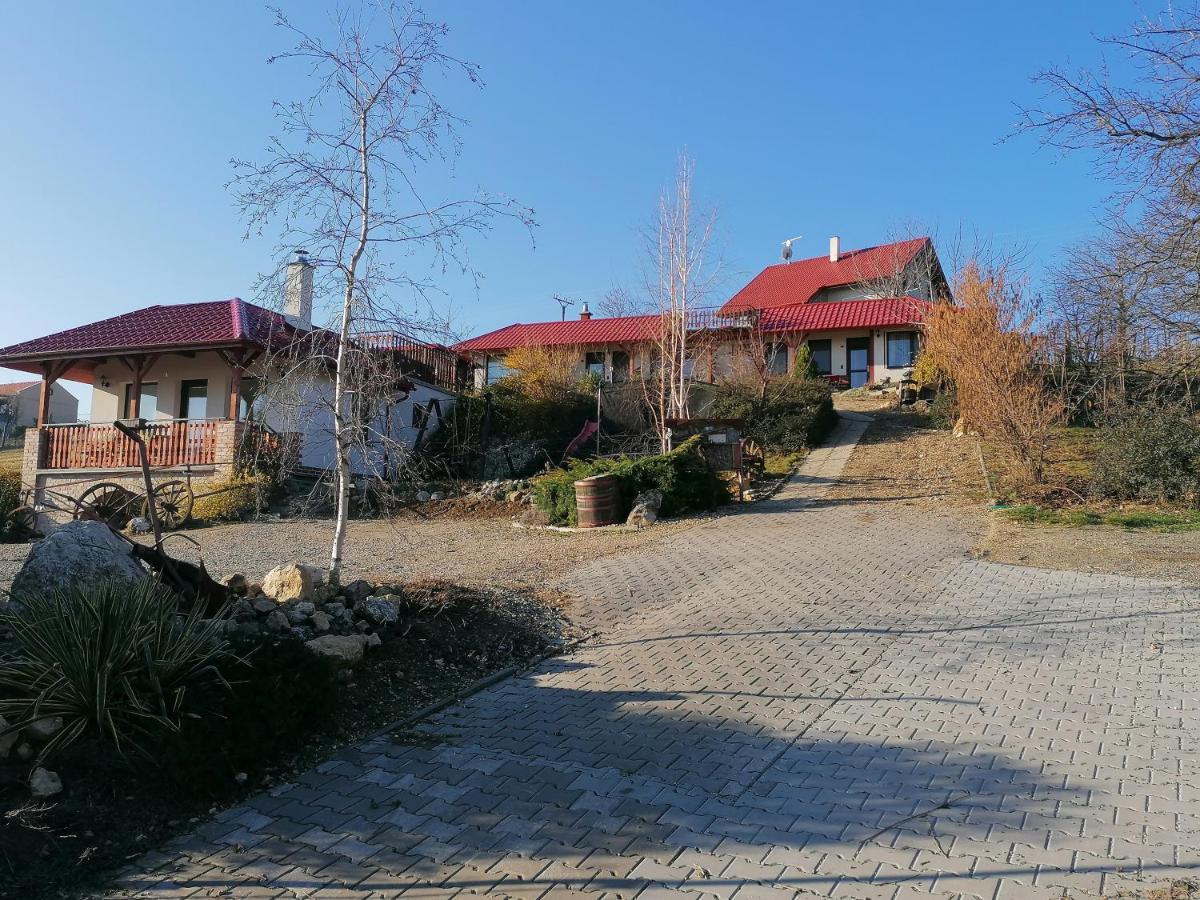 Penzion Nad Jezerem Pavlov Extérieur photo