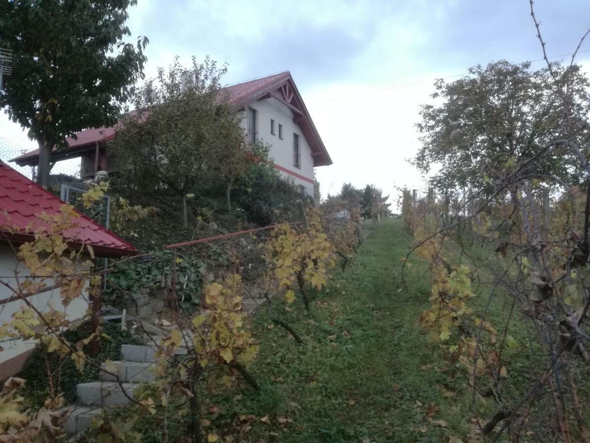 Penzion Nad Jezerem Pavlov Extérieur photo