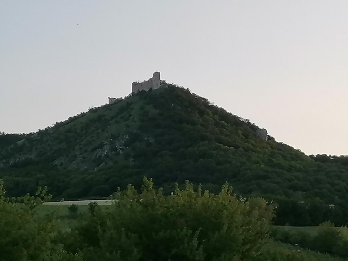 Penzion Nad Jezerem Pavlov Extérieur photo